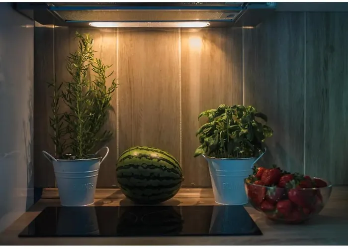 Hello Broniewskiego Hawajski 400 M Do Plazy * Gdańsk